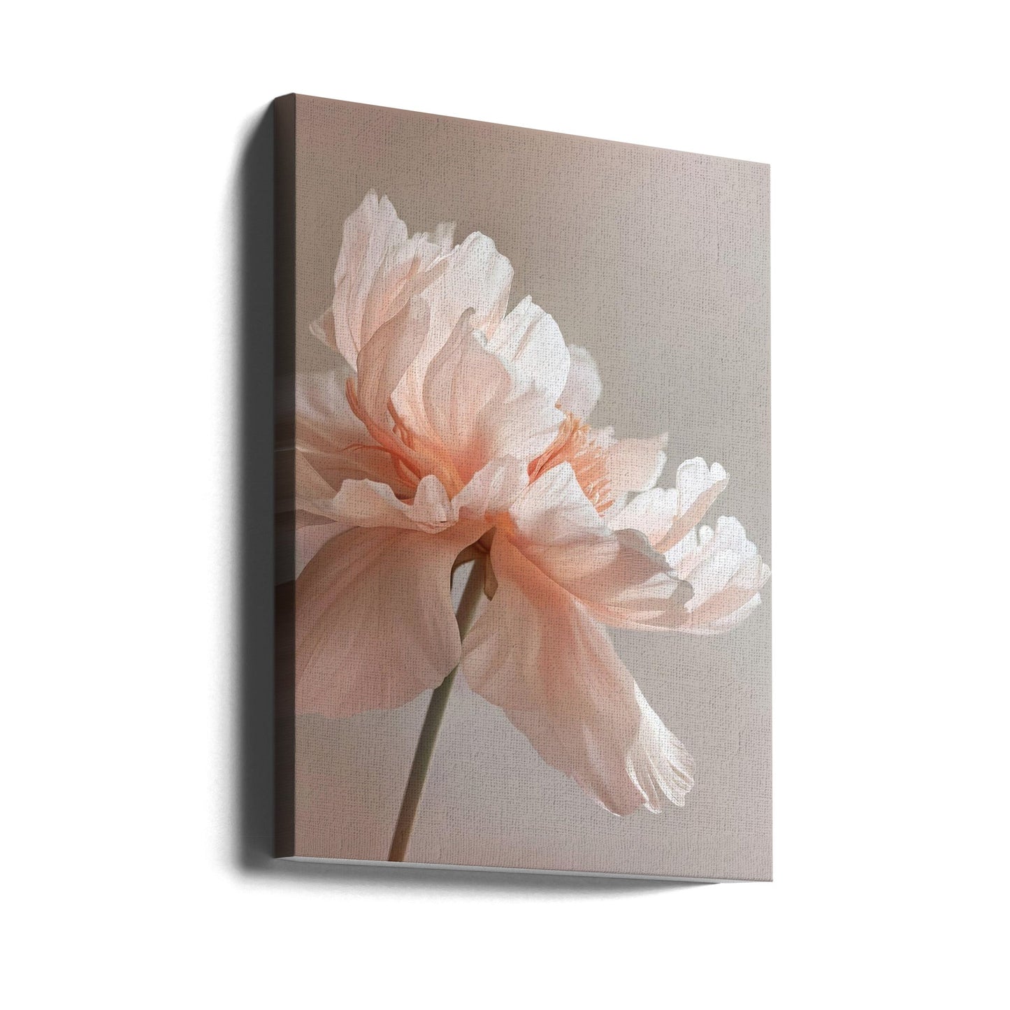 Wandkunst Petal Joy 1