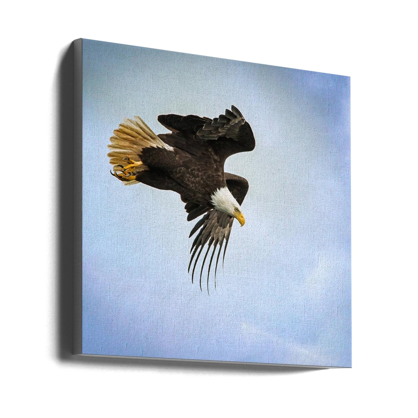 Wall art Taking Flight