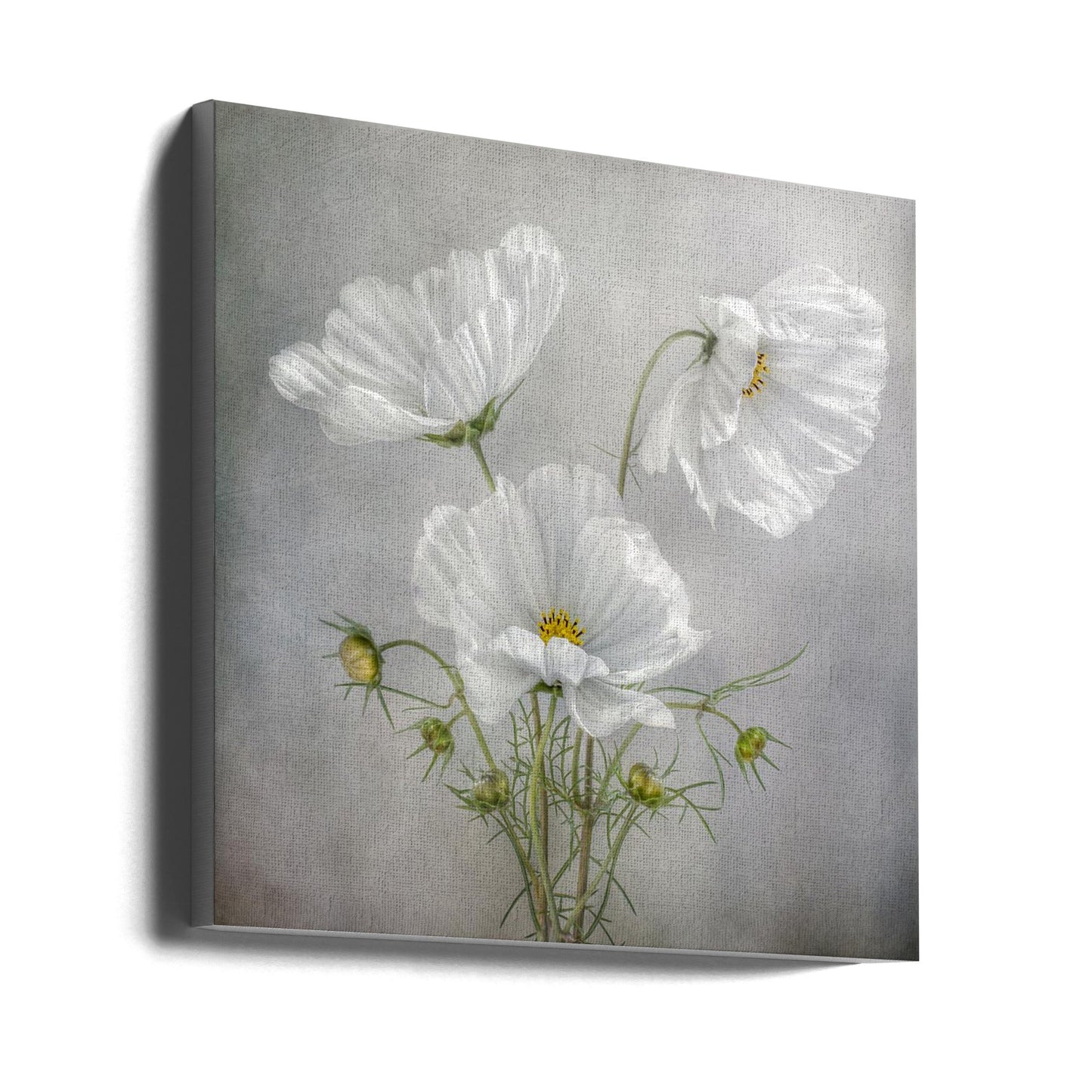 Wandkunst Kosmos Charme Irisse