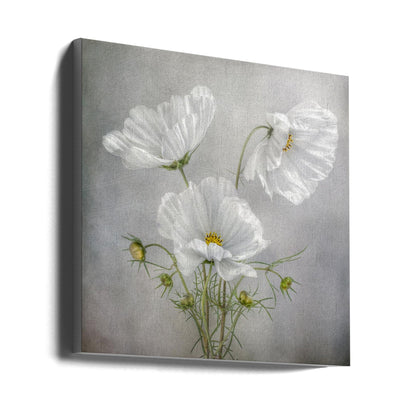 Wandkunst Kosmos Charme Irisse