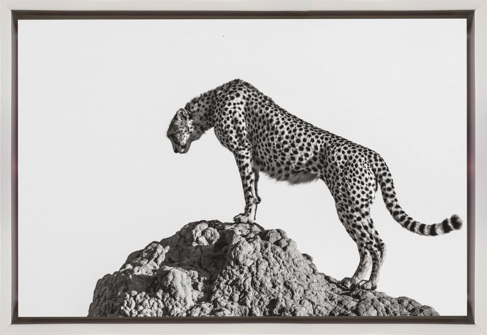 Wall Art the hunter