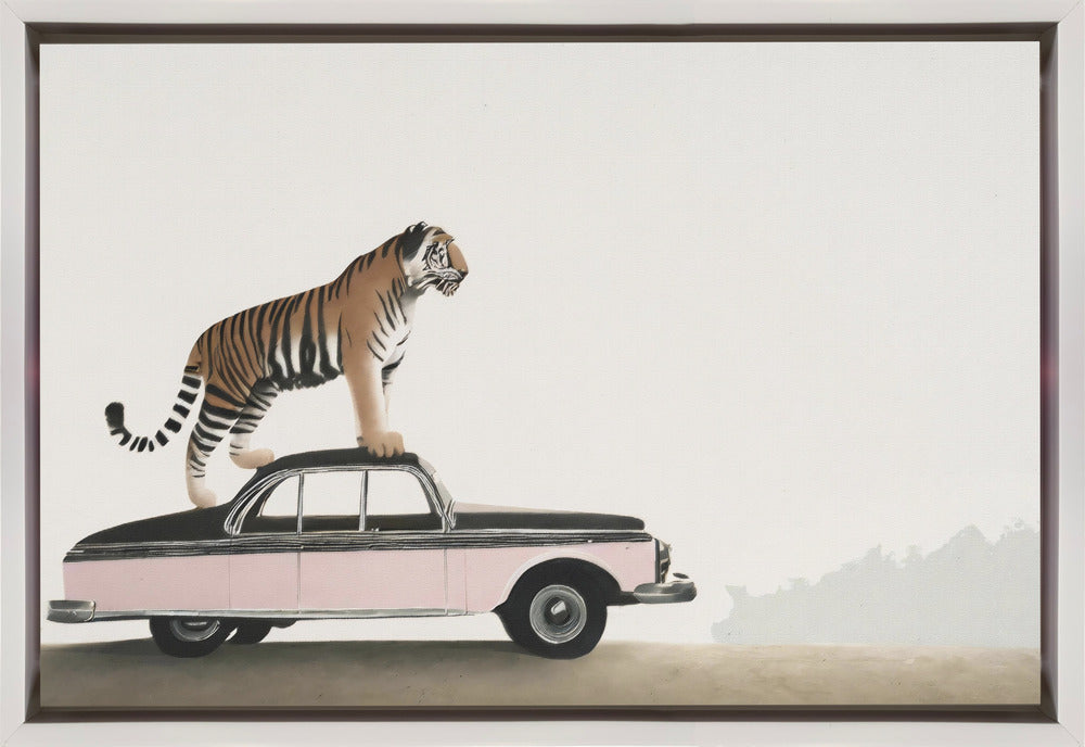 Wandbild: Tiger auf einem Autodach