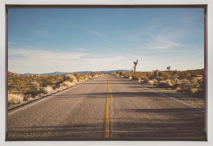 Wandbild Joshua Tree Road