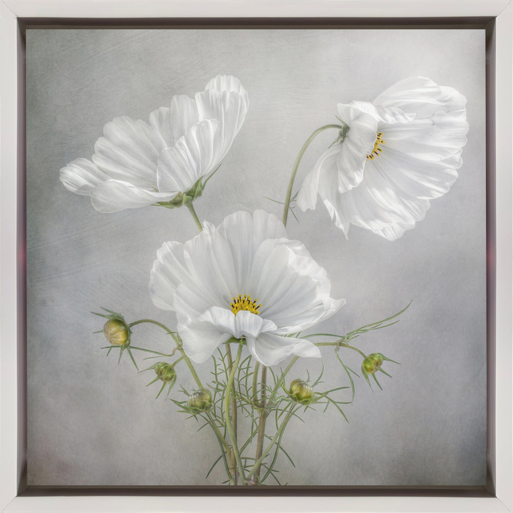 Wandkunst Kosmos Charme Irisse
