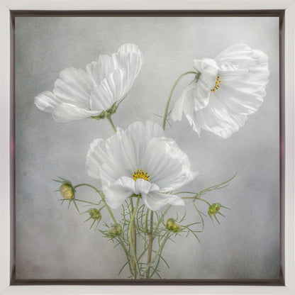 Wandkunst Kosmos Charme Irisse