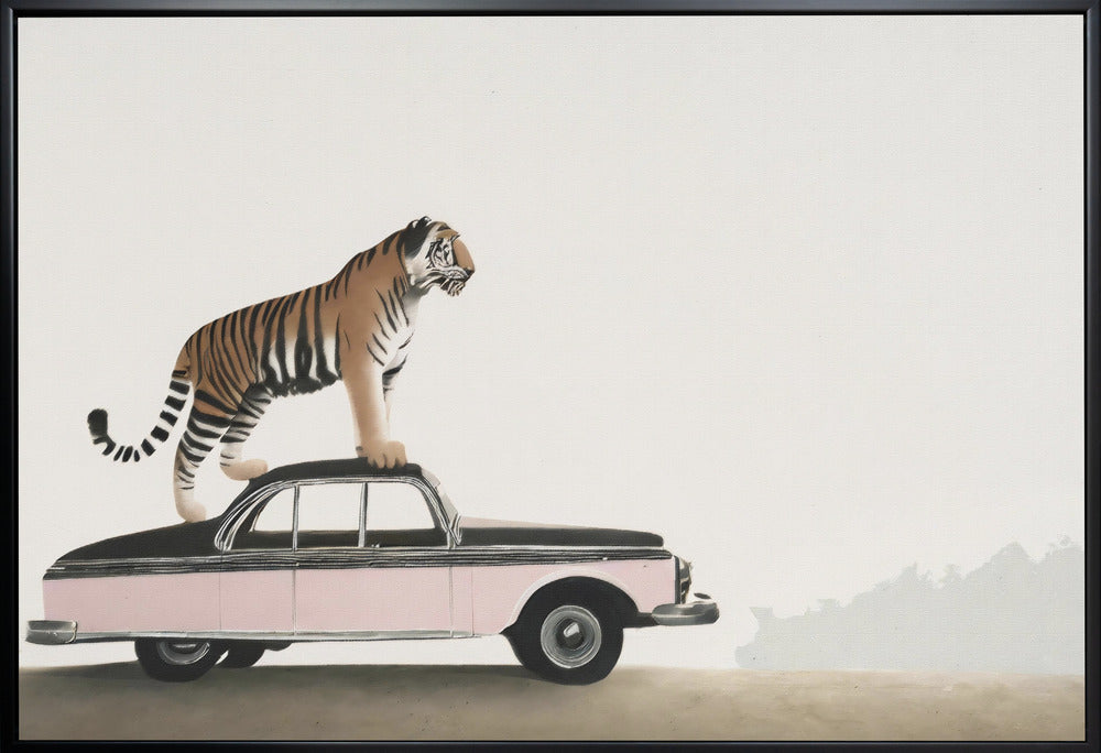 Wandbild: Tiger auf einem Autodach