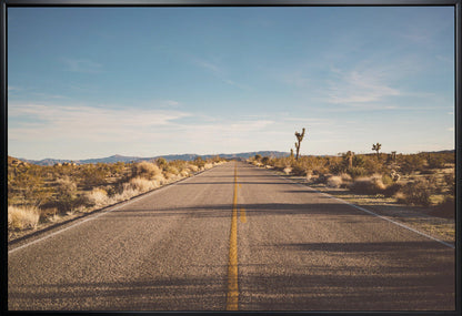 Wandbild Joshua Tree Road