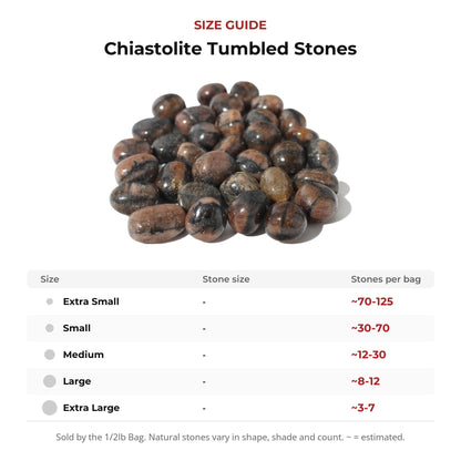Chiastolite Tumbled Stones