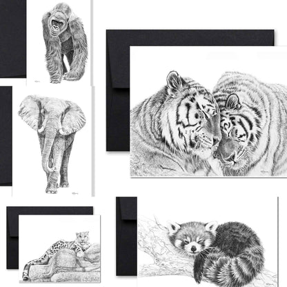 Complete Zoo Greeting Card Collection