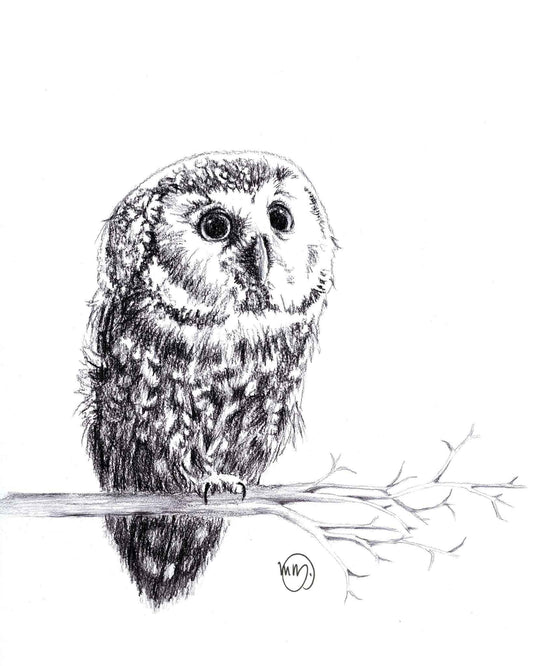 Cute Baby Owl Greeting Card