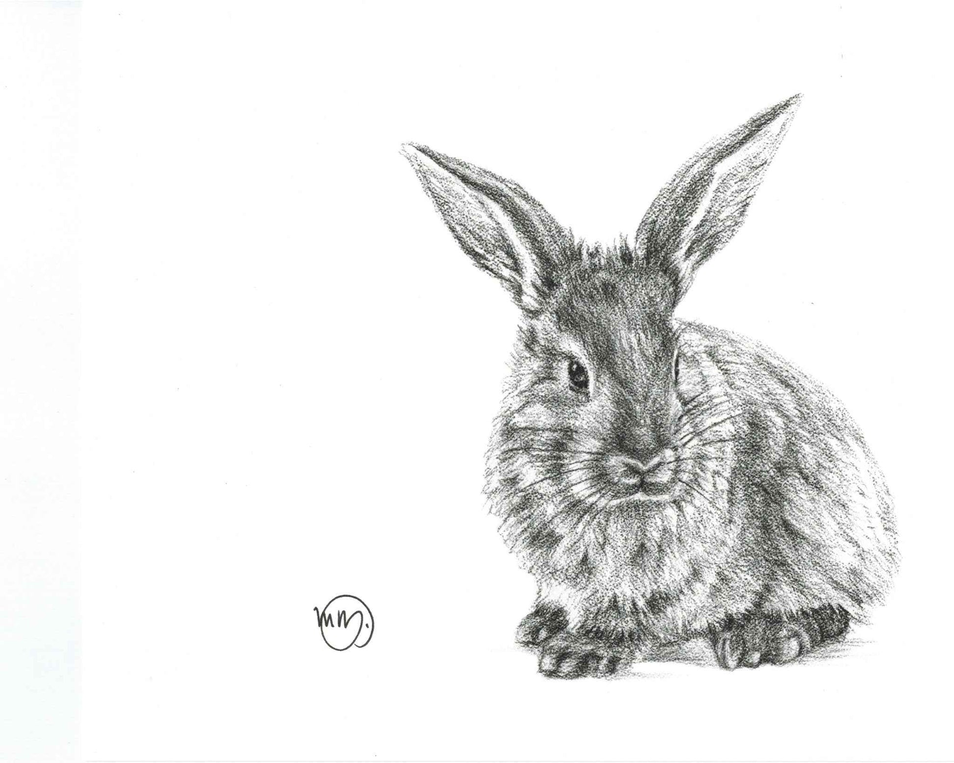 Cute Rabbit Greeting Card