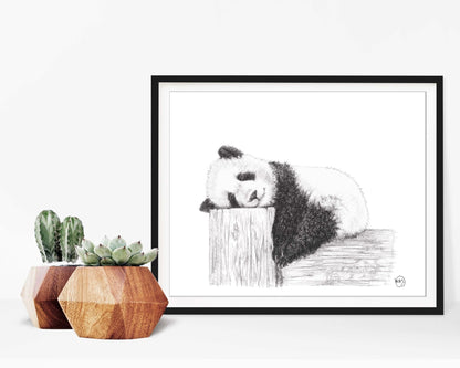 Niedlicher schlafender Panda – Schwarz-Weiß-Kunstdruck