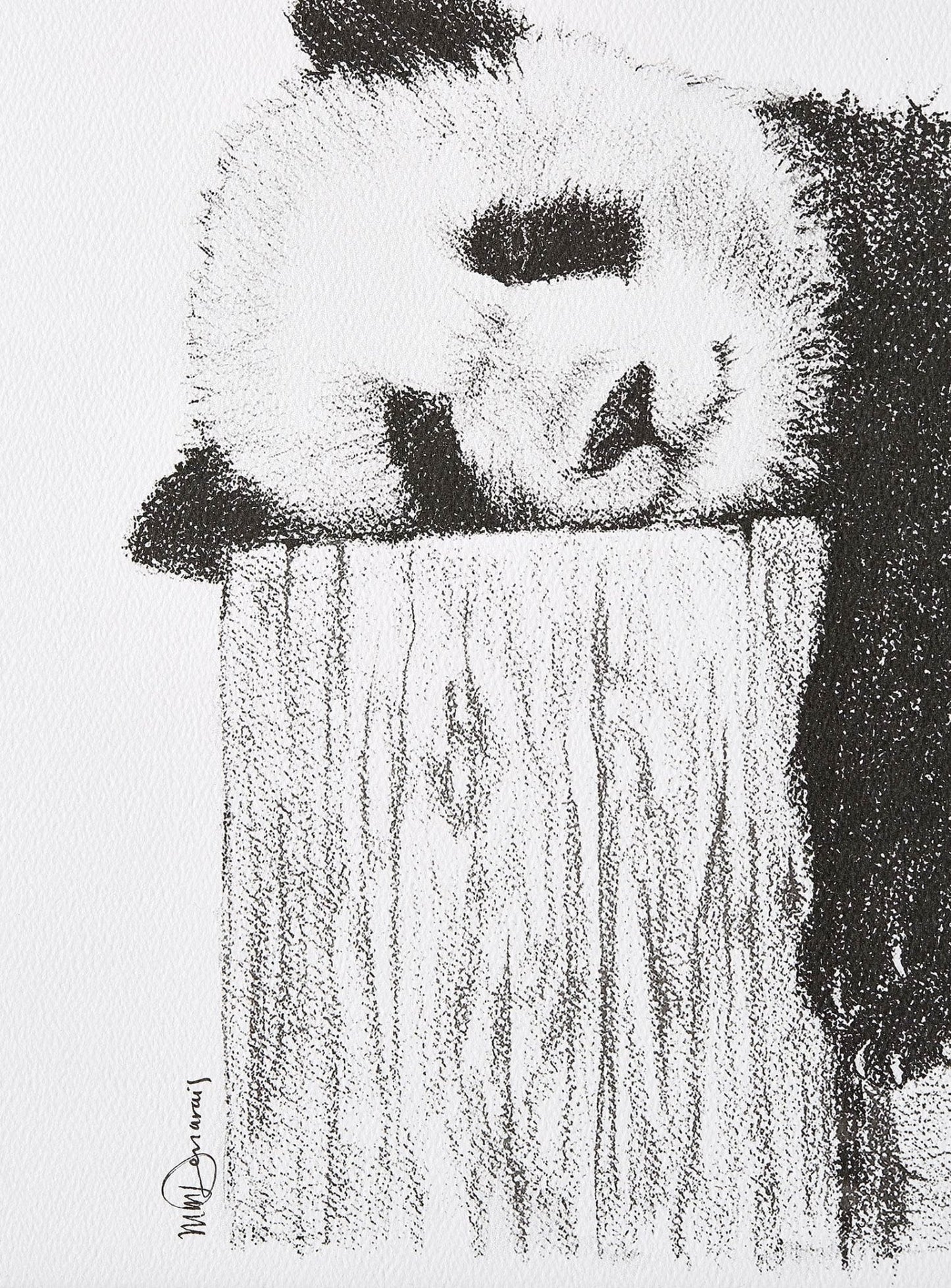 Niedlicher schlafender Panda – Schwarz-Weiß-Kunstdruck
