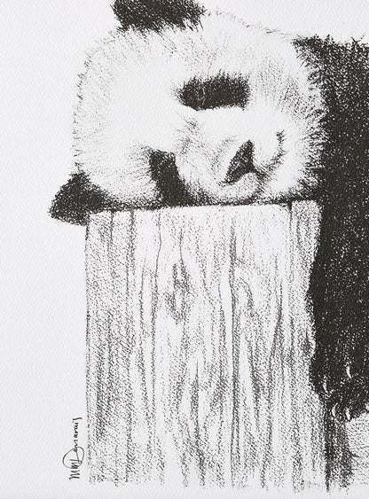 Niedlicher schlafender Panda – Schwarz-Weiß-Kunstdruck