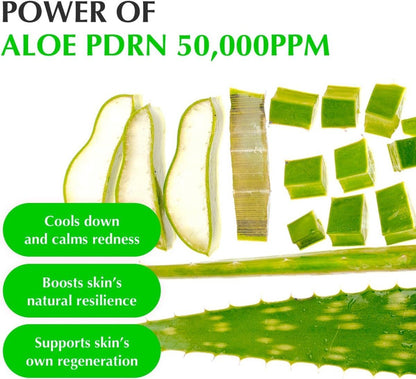 Eqqualberry Aloe PDRN Calming Serum 30ml