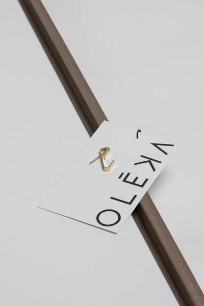 RÊVE ÉCARLATE, Oeuvre sur toile étirée