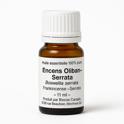 Encens Oliban (Frankincense)