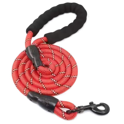 Reflective Dog Leash for Night Walks