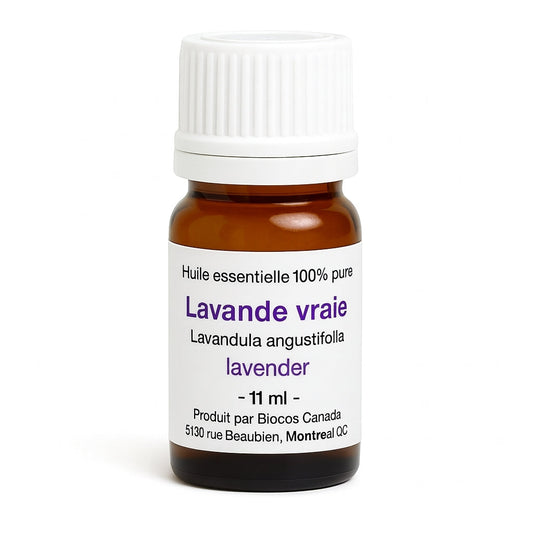 Lavande vraie