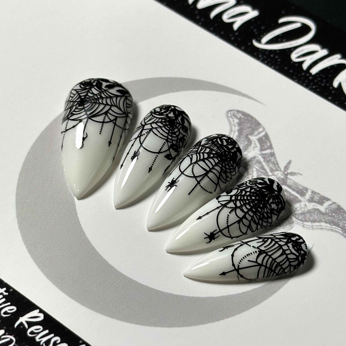 Lace-Web Chic