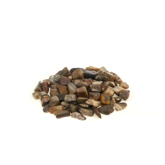 Petrified Wood Tumbled Stones - Madagascar
