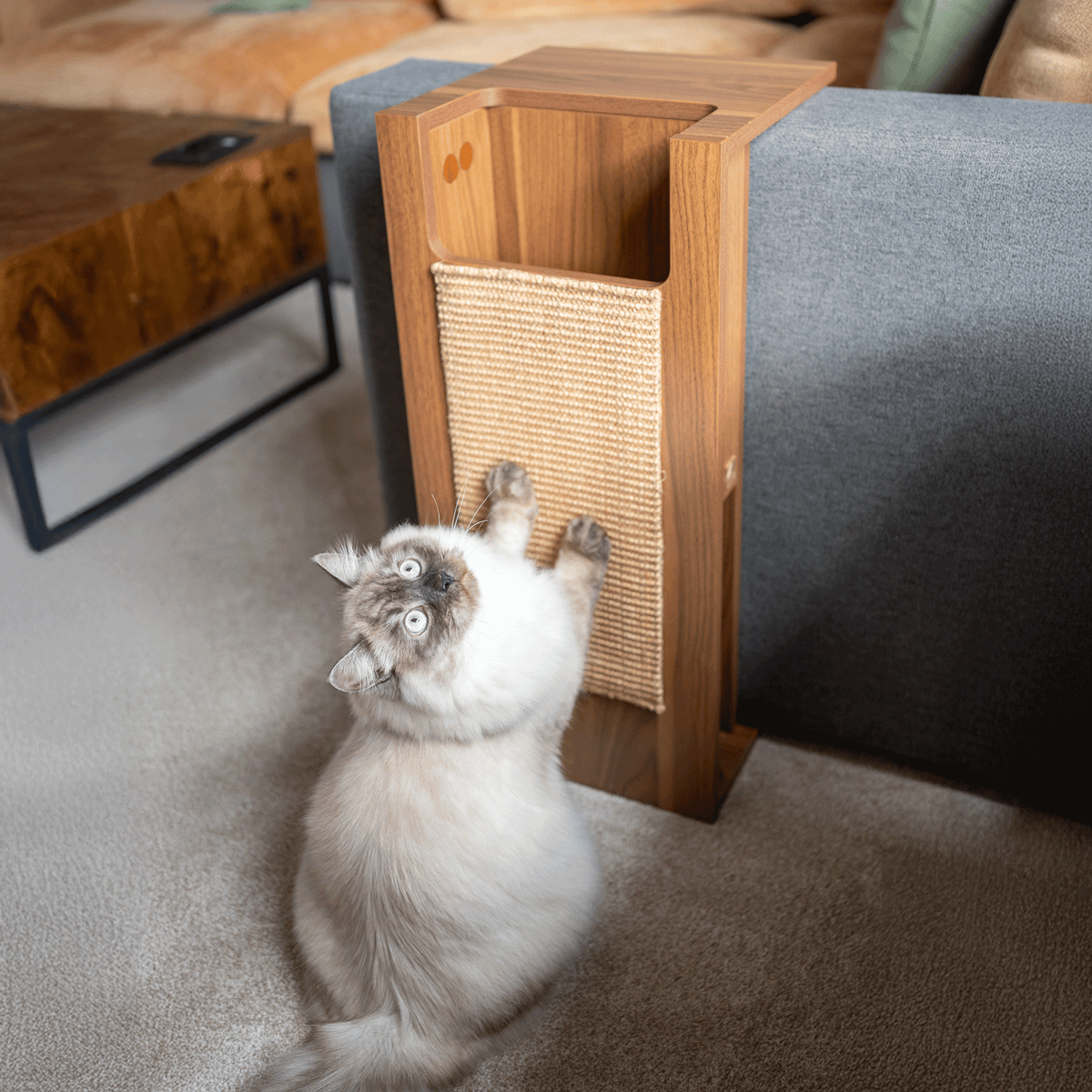 jewl nesting table + scratcher