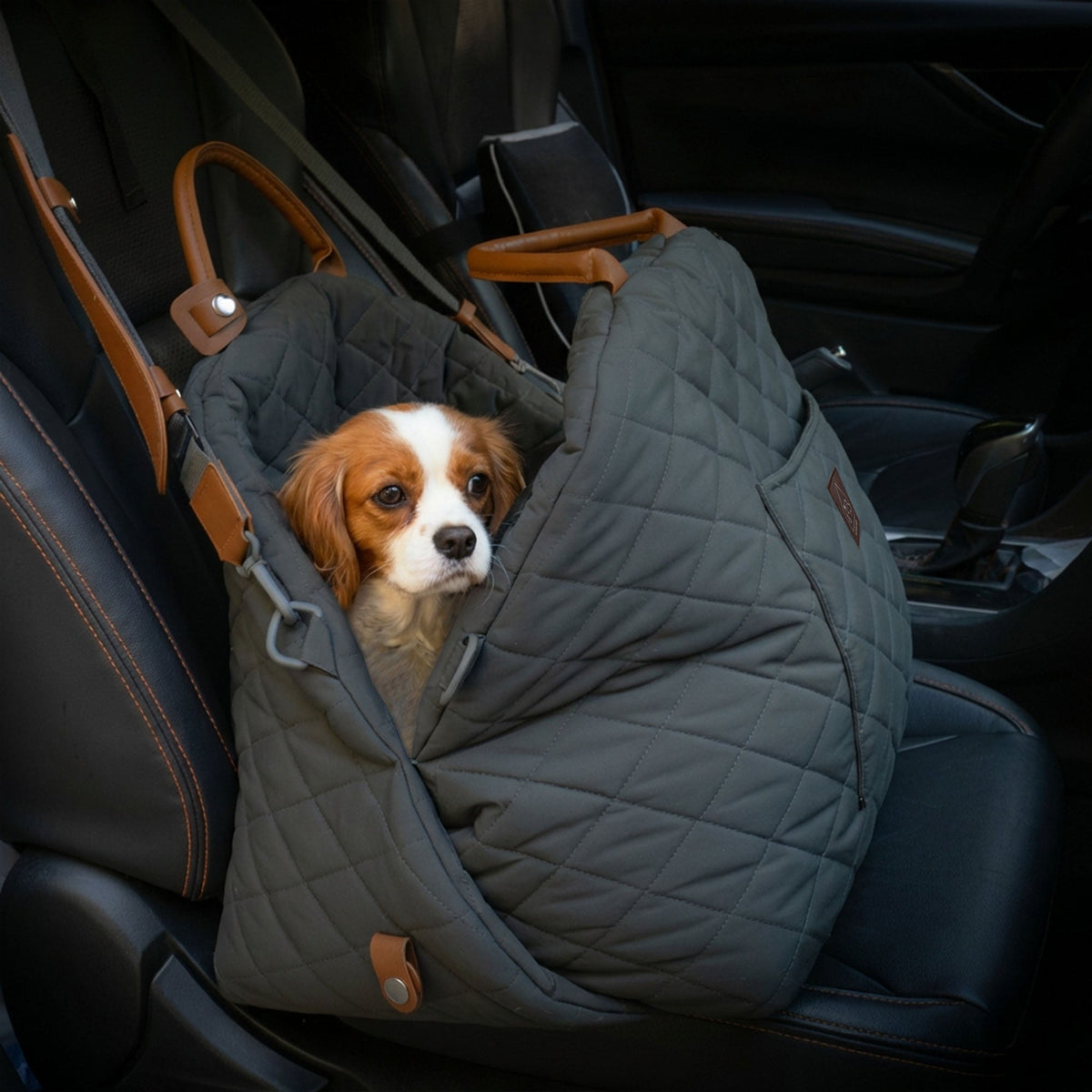 mew mew travel pet bed