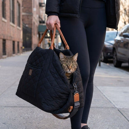 mew mew travel pet bed