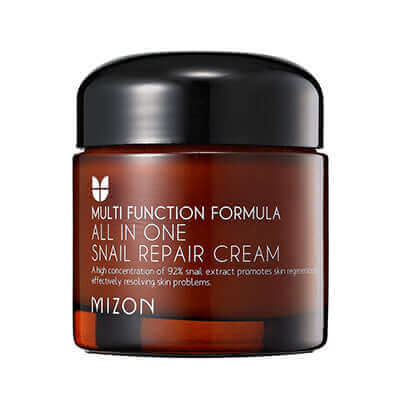 Mizon All In One Snail Repair Cream 75ml