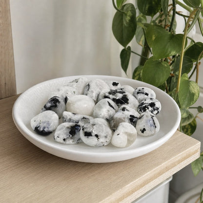 Rainbow Moonstone Tumbled Stones - India