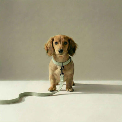 Tweed Leash