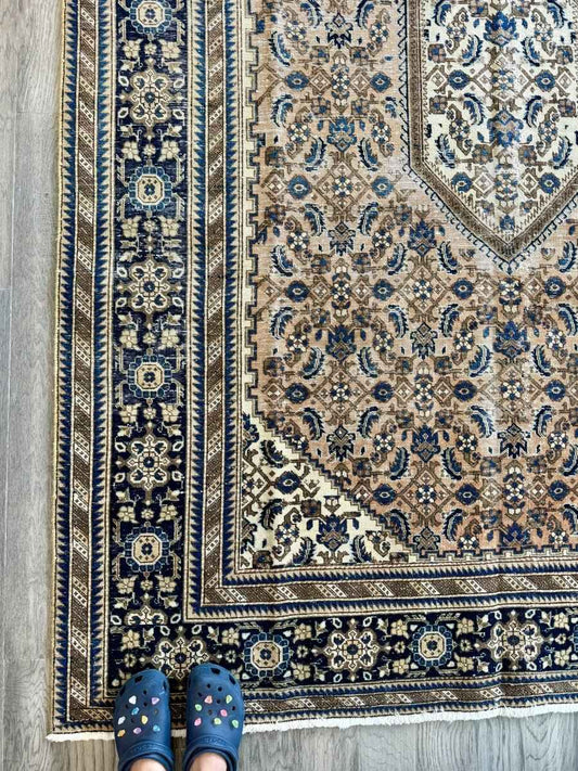 Persian Ardabil Rug | 6' 9" x 9' 11"