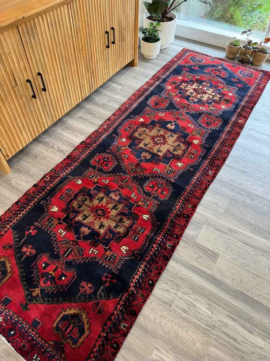 Persian Hamadan Runner Rug | 3' 3" x 9' 10"