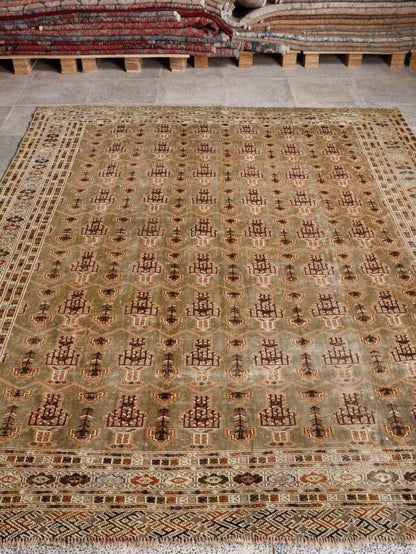 Persian Turkmen Rug | 6' 7” x 8' 4"