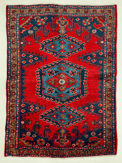 Persian Viss Rug | 3' 7” x 4' 11"