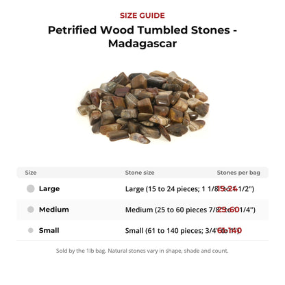 Petrified Wood Tumbled Stones - Madagascar