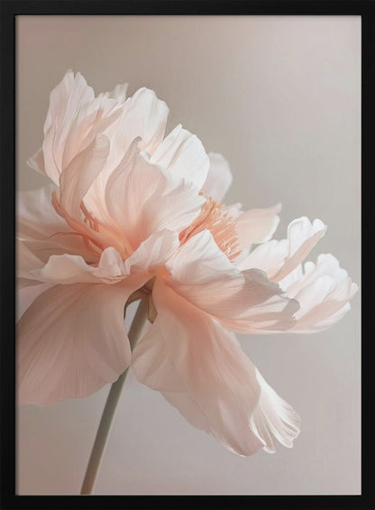 Wandkunst Petal Joy 1