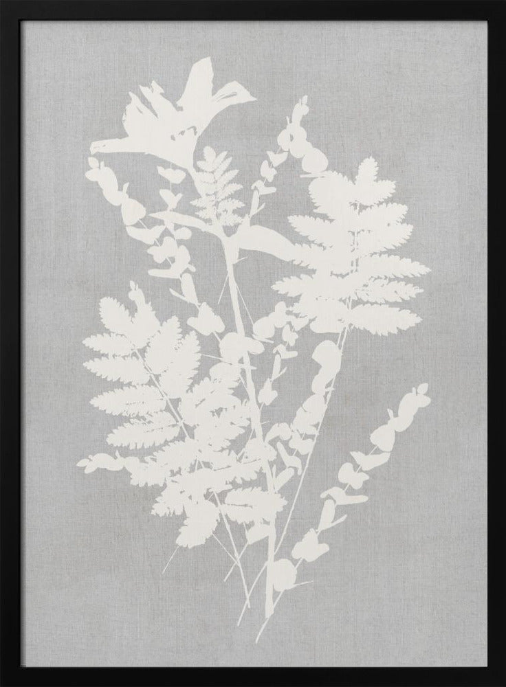 Wandkunst Botanische Illustration 5