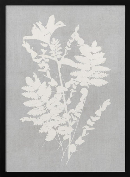 Wandkunst Botanische Illustration 5