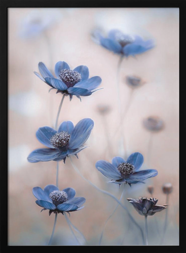 Wandbild Kosmos blau