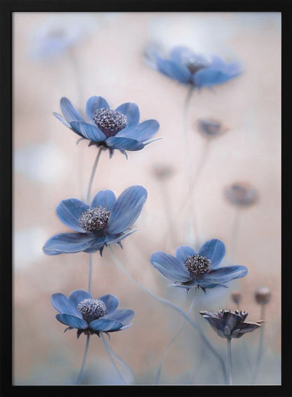 Wandbild Kosmos blau