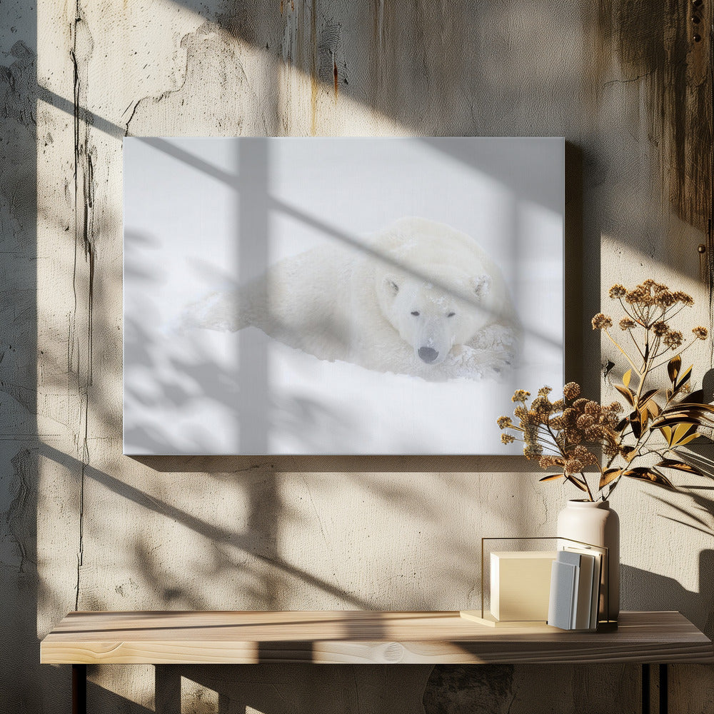 Wandkunst Weiß