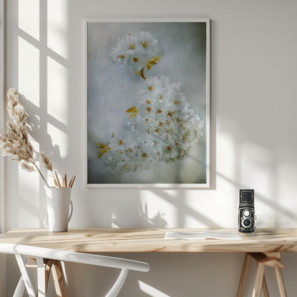 Wall Art Cherry blossoms