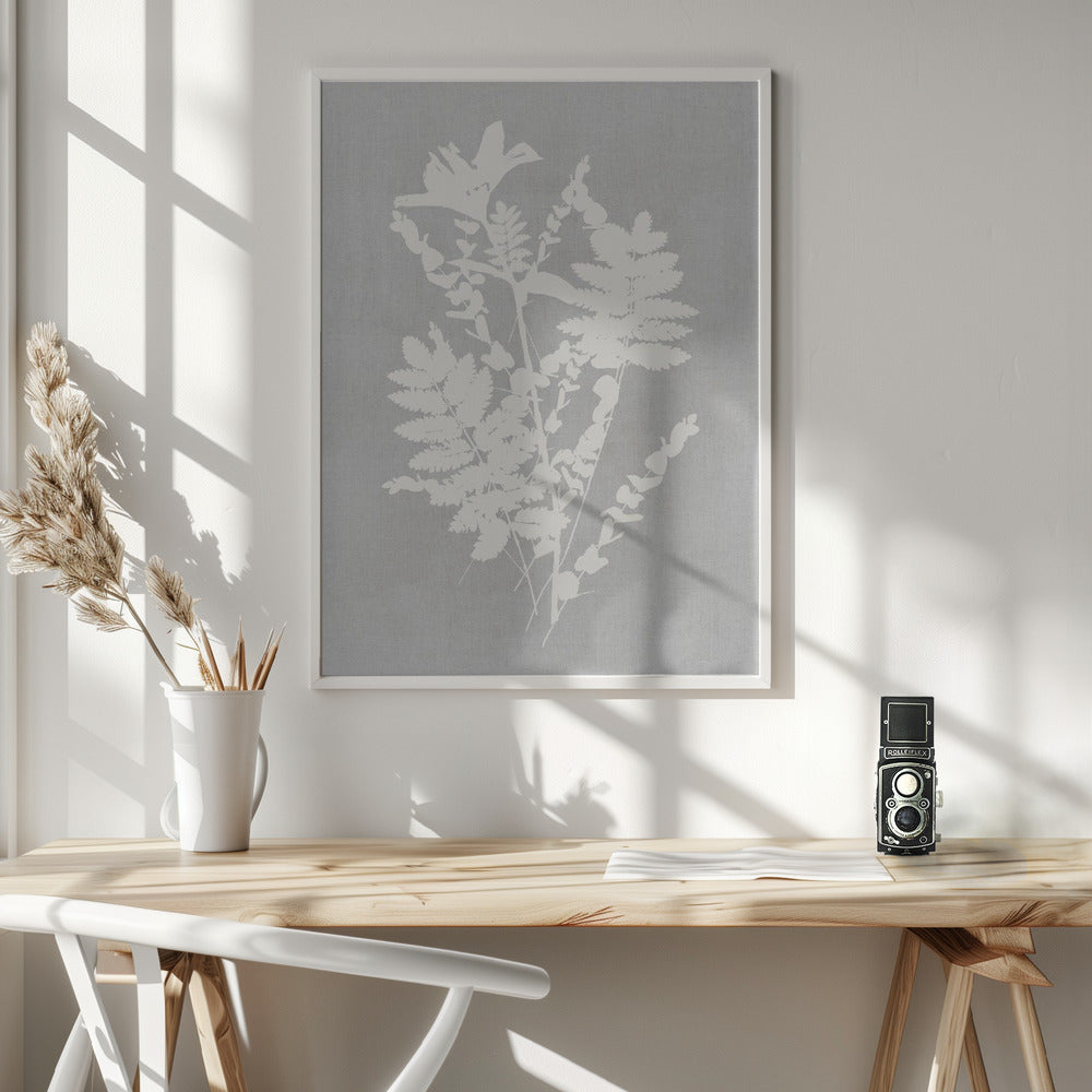 Wandkunst Botanische Illustration 5