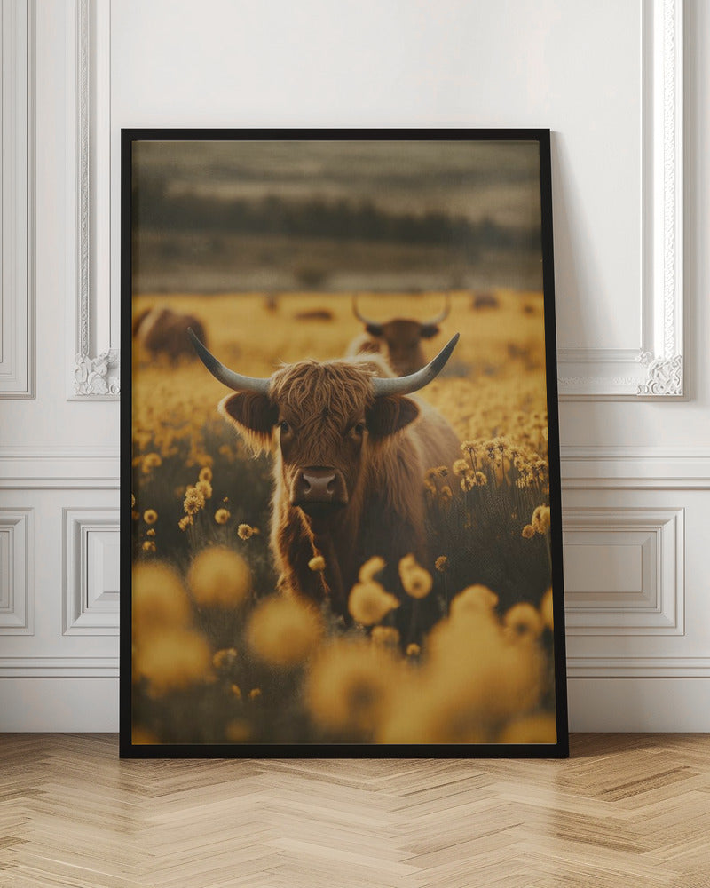 Wandbild Highland-Rinder auf Blumenwiese