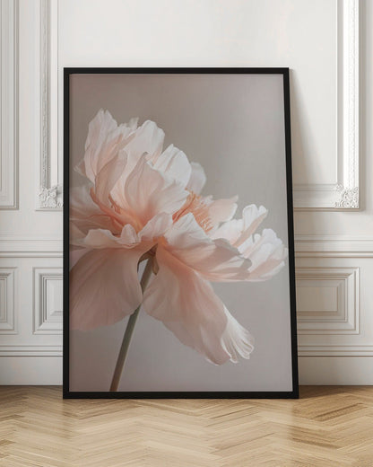 Wandkunst Petal Joy 1