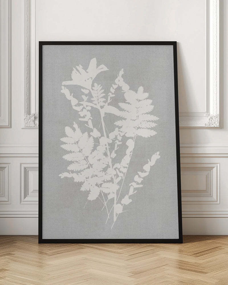 Wandkunst Botanische Illustration 5