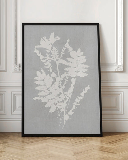 Wandkunst Botanische Illustration 5