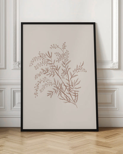 Wandbild Akazienzweig Botanik