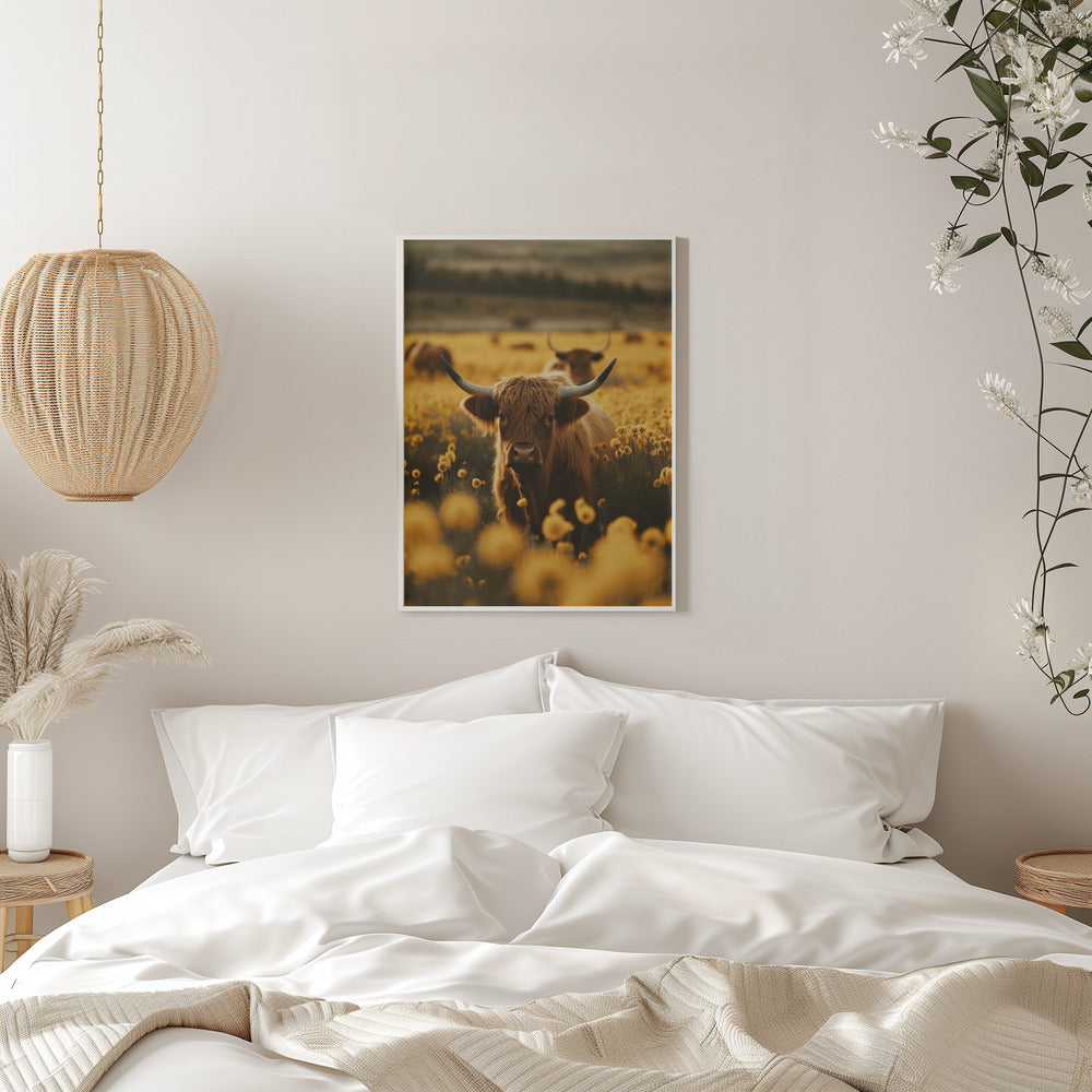 Wandbild Highland-Rinder auf Blumenwiese